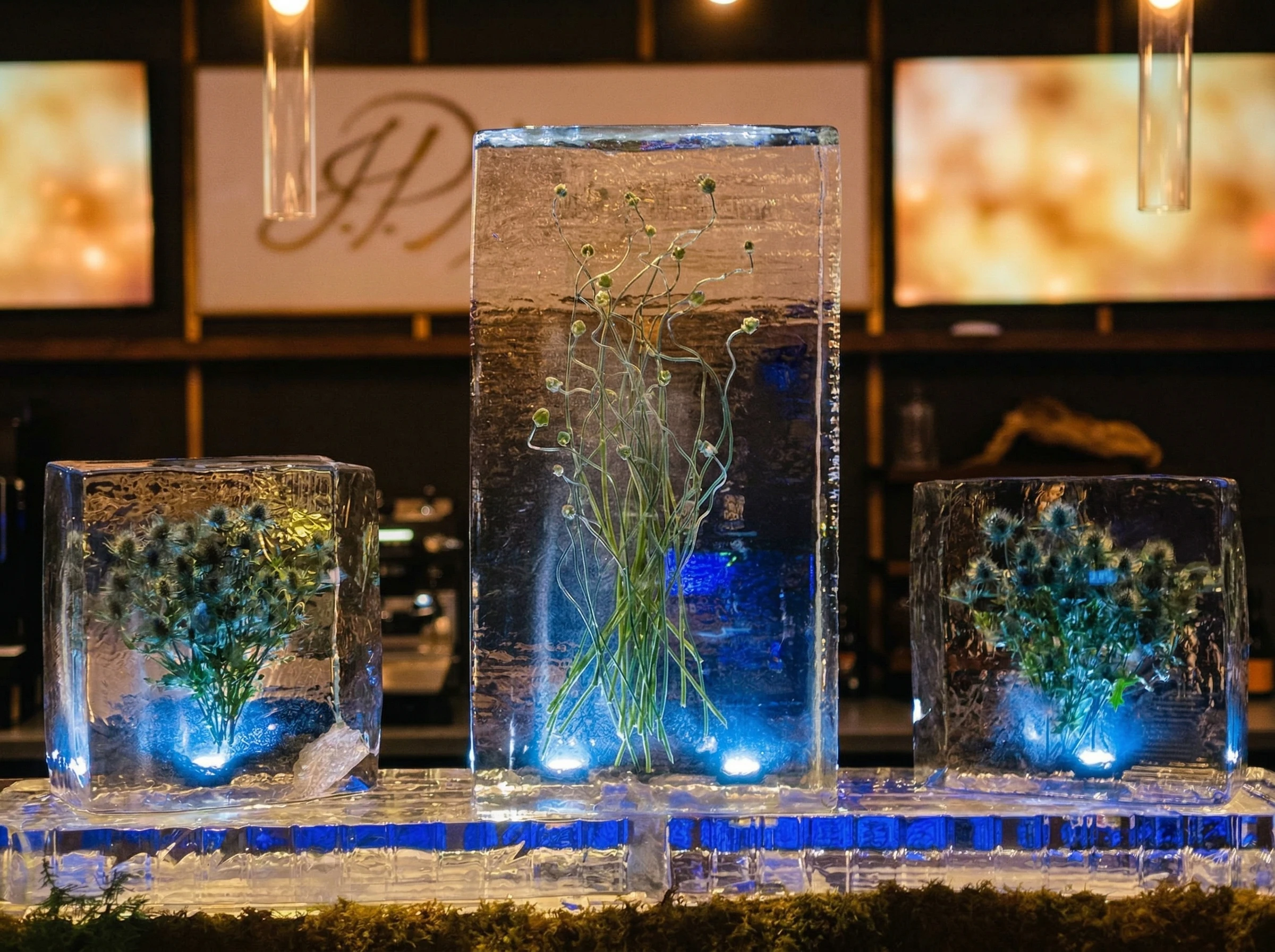 Montaire gallery image